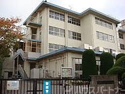 [周辺] 松戸市立松ケ丘小学校 徒歩6分。 410m