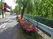 前面道路