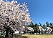 下石上公園