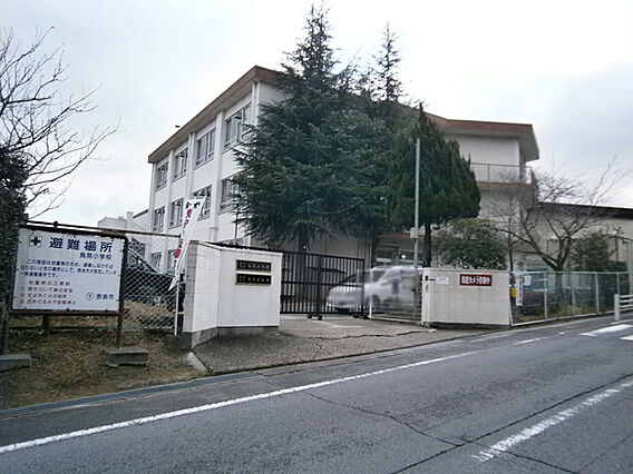 奈良市立鳥見小...