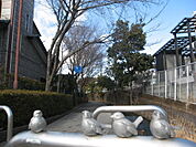 遊歩道