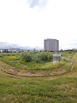 共用部から、絶...