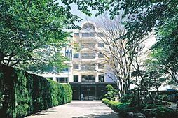 [周辺] 私立国際学院埼玉短期大学 2040m