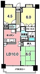 ナイスアーバン錦