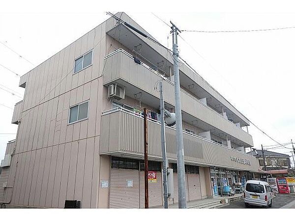 ゲーエンマンションPART1 ｜埼玉県三郷市高州１丁目(賃貸マンション3K・3階・48.00㎡)の写真 その1