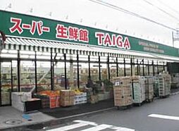 Studie (スタディ)