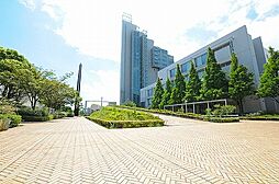 ワイ・エヌビル