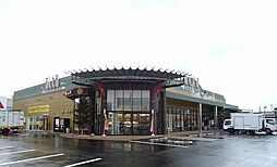 エバーフェニックス