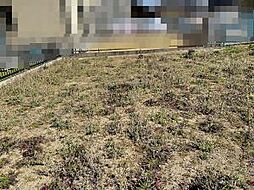 愛知県西尾市中畑町前山の土地画像