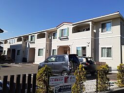 コージーコート 101