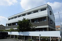 ルミナスハイム 303