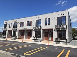 エルヴィータ・ガンビーノ 203