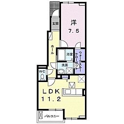ストレリチア・アルバＡ 1階1LDKの間取り