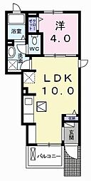 リッシュテリトワール 1LDKの間取図画像