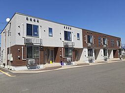 グレイス　Ｙ 203