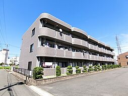 シャルマン　ヴェガ 207