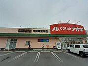 【ドラッグストア】クスリのアオキ伊勢崎富塚店まで230ｍ
