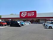 【スーパー】ロピア新市店まで800ｍ