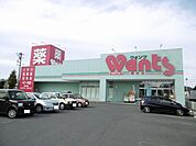 【ドラッグストア】ウォンツ柳井店まで500ｍ