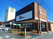 【スーパー】ドミー寺津店まで1000ｍ