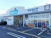 【ドラッグストア】ウエルシア守谷ひがし野店まで1730ｍ