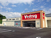 【ドラッグストア】V・drug大高南店まで1000ｍ
