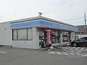 【コンビニエンスストア】ローソンまで800ｍ