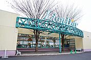 【スーパー】リオン・ドール須賀川南店まで350ｍ