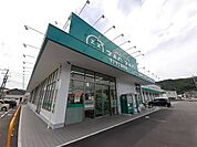 【ドラッグストア】ザグザグ金川店まで2900ｍ