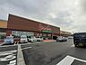 周辺：【スーパー】原信白根店まで1800ｍ