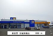 【ドラッグストア】薬王堂まで800ｍ