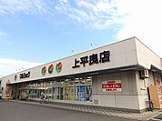 【スーパー】マルショク　上平良店まで370ｍ