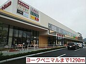 【スーパー】ヨークベニマルまで1290ｍ