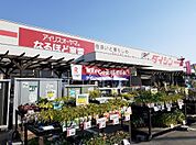 【ホームセンター】ダイシン古川店まで600ｍ