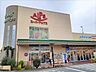 周辺：【スーパー】スーパーアルプス飯能美杉台店まで1000ｍ