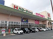 【スーパー】ハローズ高木店まで450ｍ