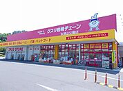 【ドラッグストア】クスリ岩崎チェーン永源山公園店まで850ｍ