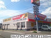 【ドラッグストア】ツルハドラッグ二の森店まで1500ｍ