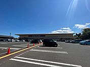 【スーパー】ヨークベニマル亘理店まで1900ｍ