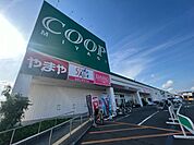 【スーパー】みやぎ生協 岩沼店まで2800ｍ