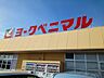 周辺：【スーパー】ヨークベニマル古川福浦店まで600ｍ