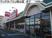 【スーパー】マックスバリュ城山店まで1100ｍ