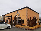 【その他】たまごの樹追分店まで1148ｍ