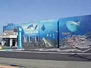越前松島水族館まで1700ｍ