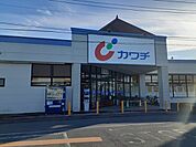 【ドラッグストア】カワチ薬品石岡ばらき台店まで771ｍ