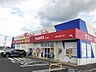 周辺：【ドラッグストア】ウェルネス ハワイ店まで1100ｍ