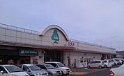 【スーパー】いちい信夫ヶ丘店まで1600ｍ