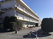【小学校】深谷市立幡羅小学校まで5ｍ