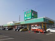 【ドラッグストア】ハシドラッグ北店まで320ｍ