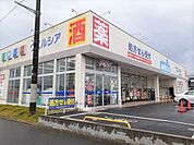 【ドラッグストア】ウエルシア鹿嶋平井店まで800ｍ